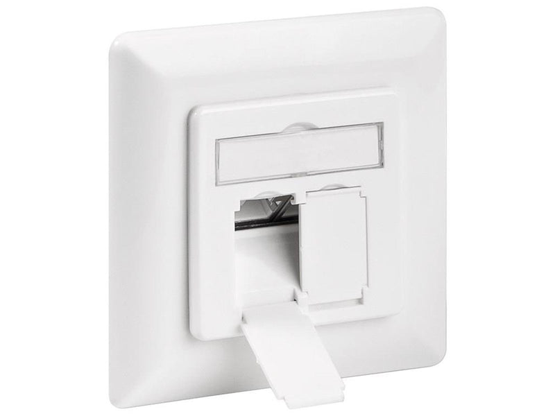 Pro CAT 6 wall plate flush mounting