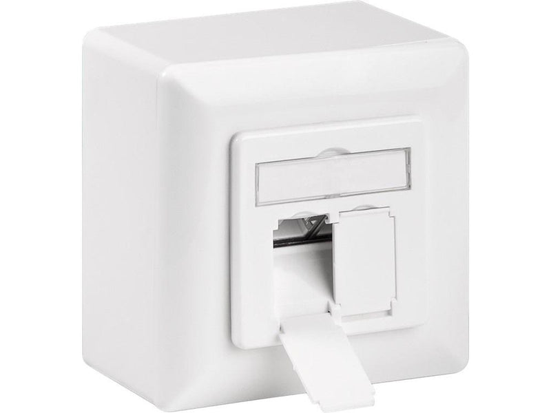 Pro CAT 6 universal wall plate incl. on-wall mounting