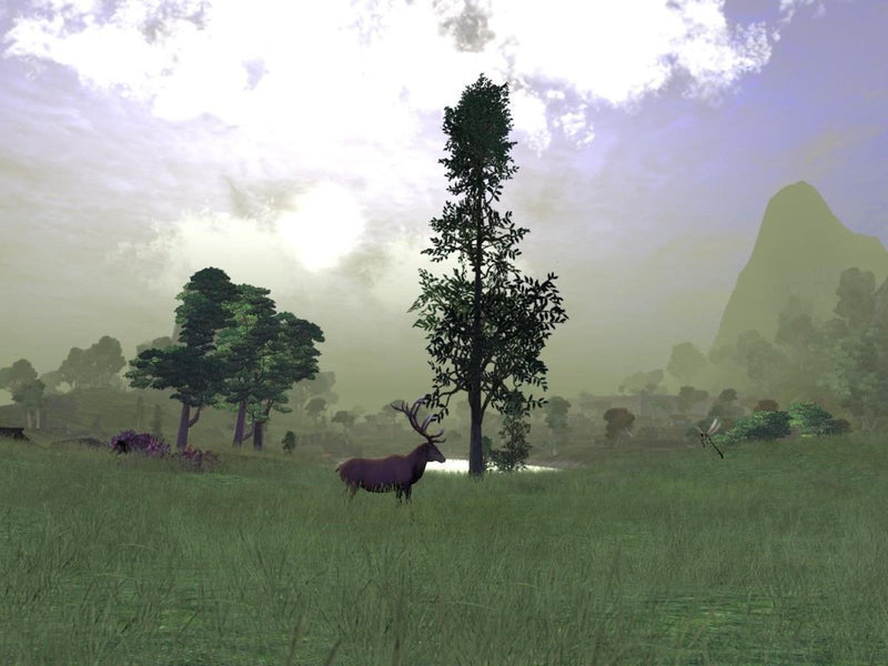 Vanguard Saga of Heroes - Windows - MMORPG - PEGI 12