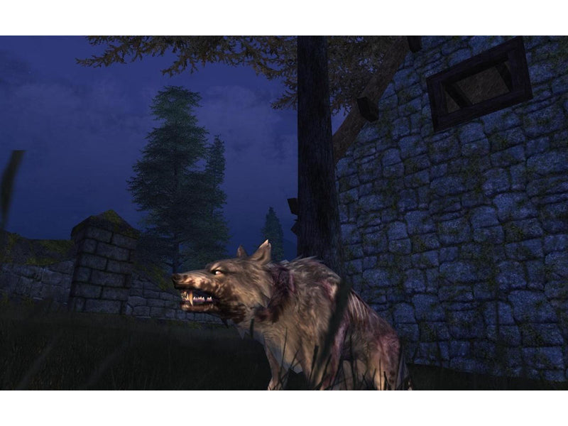 Vanguard Saga of Heroes - Windows - MMORPG - PEGI 12