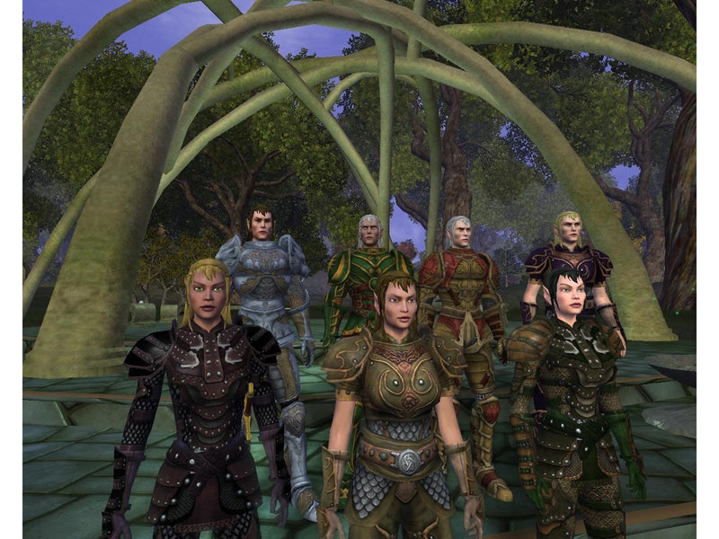 Vanguard Saga of Heroes - Windows - MMORPG - PEGI 12