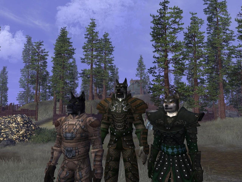 Vanguard Saga of Heroes - Windows - MMORPG - PEGI 12