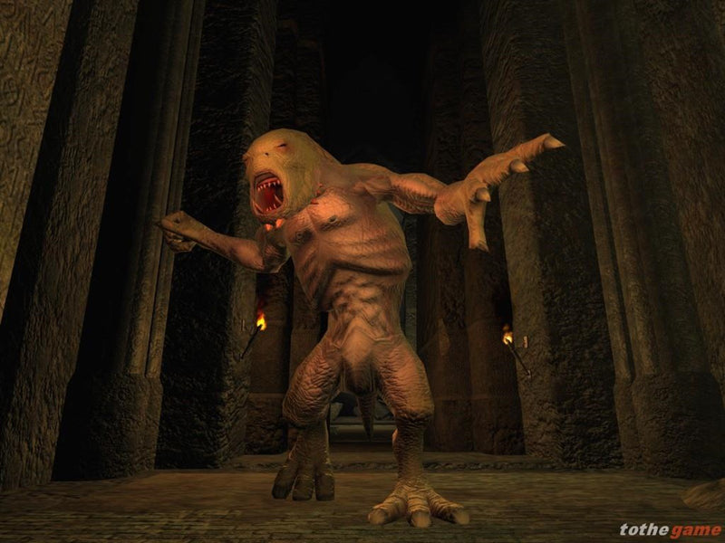 Vanguard Saga of Heroes - Windows - MMORPG - PEGI 12