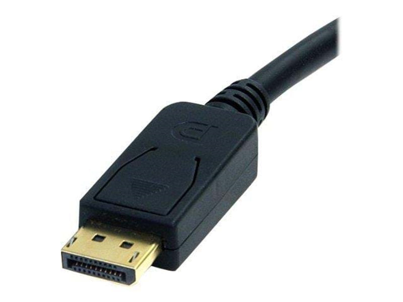 StarTech.com DisplayPort zu DVI Kabel