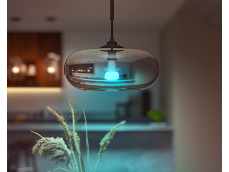 Philips Hue Color A67 E27 1600 Lumen - 1-Pack