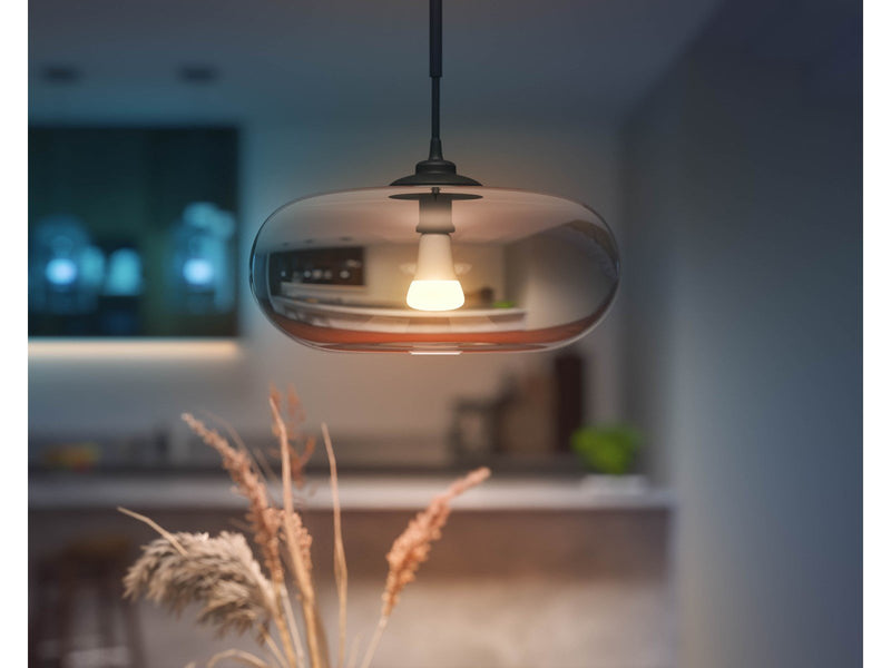 Philips Hue Color A67 E27 1600 Lumen - 1-Pack