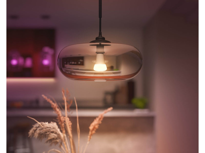 Philips Hue Color A67 E27 1600 Lumen - 1-Pack