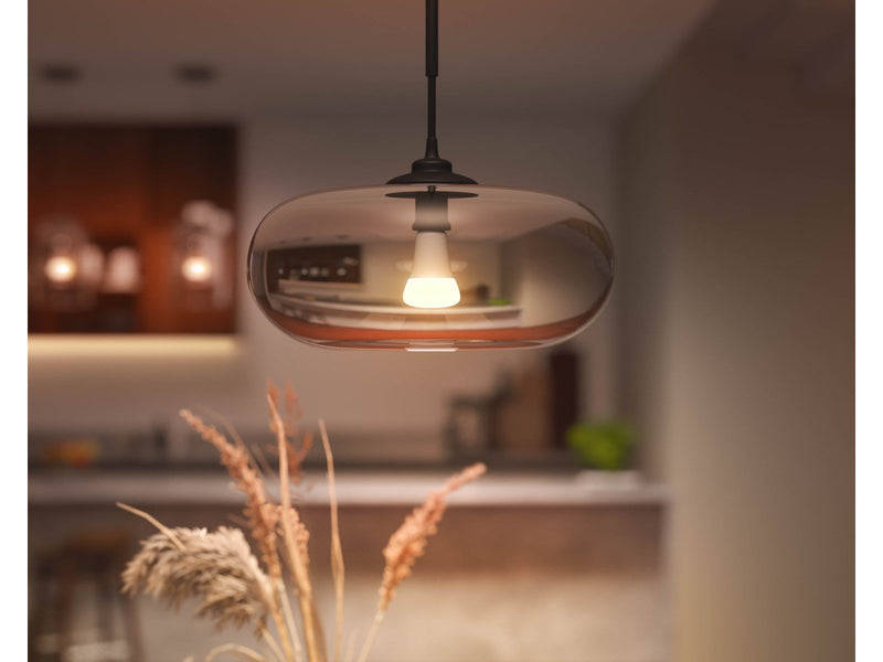 Philips Hue Color A67 E27 1600 Lumen - 1-Pack