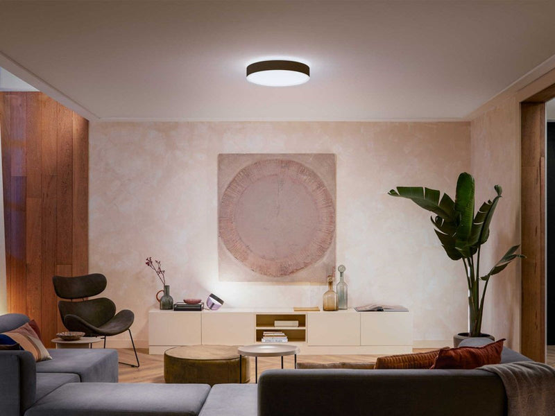 Philips Hue Enrave, große Deckenleuchte (Schwarz)