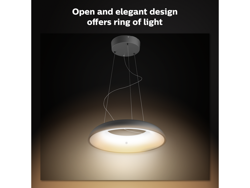 Philips Hue Amaze Pendant Ceiling Light - Black
