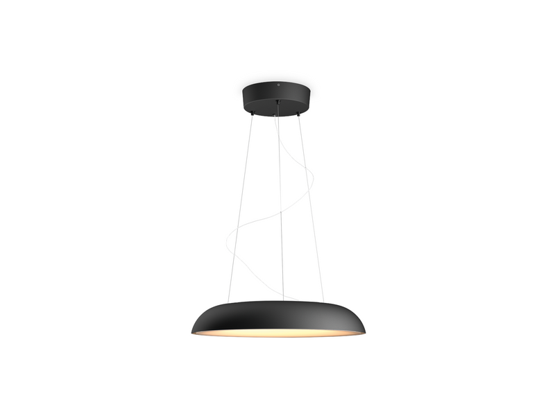 Philips Hue Amaze Pendant Ceiling Light - Black
