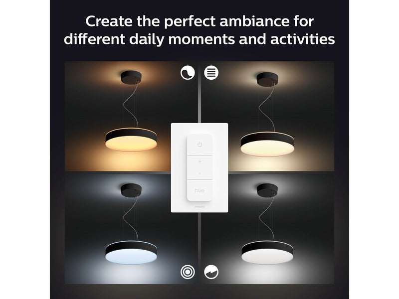 Philips Hue Enrave Pendelleuchte (Schwarz)