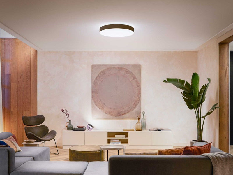 Philips Hue Enrave, extra große Deckenleuchte (Schwarz)