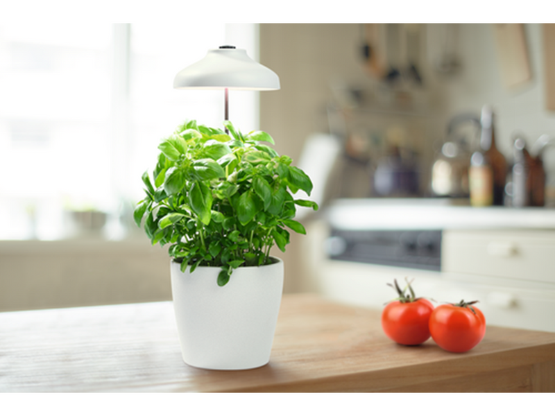 LEDVANCE Indoor Garden Umberella USB