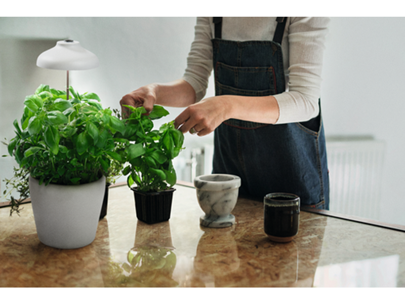 LEDVANCE Indoor Garden Umberella USB