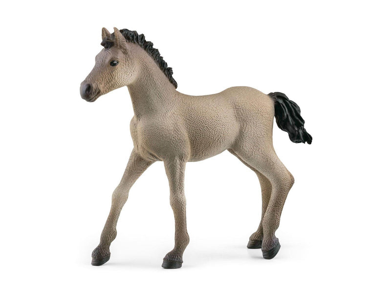 Schleich Criollo Definitivo Foal