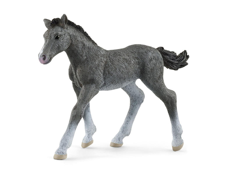 Schleich Trakehner Foal