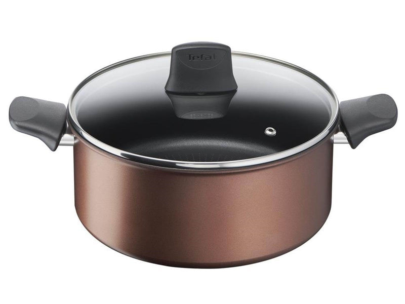 Tefal Resource Stewpot 24 cm/5.2 l. w. lid