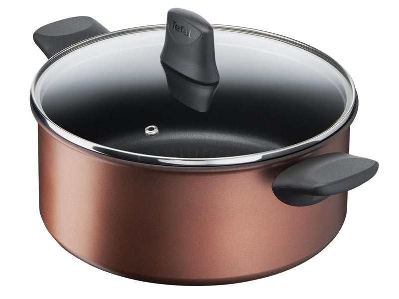 Tefal Resource Stewpot 24 cm/5.2 l. w. lid