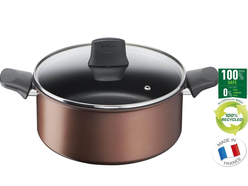 Tefal Resource Stewpot 24 cm/5.2 l. w. lid