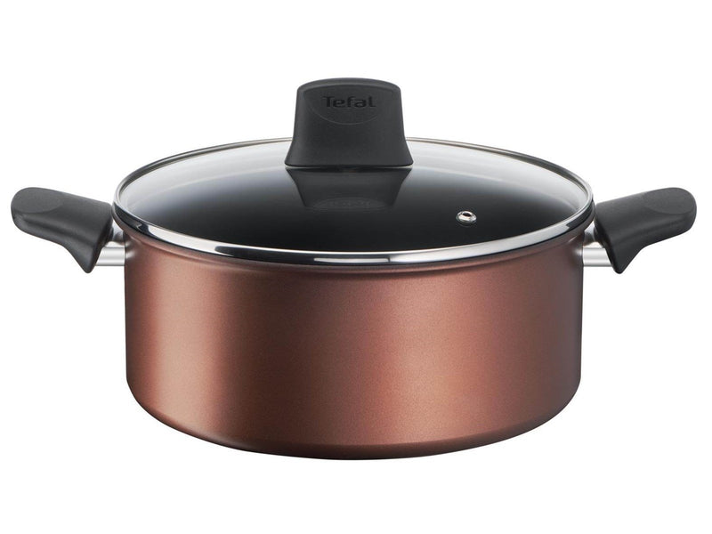 Tefal Resource Stewpot 24 cm/5.2 l. w. lid