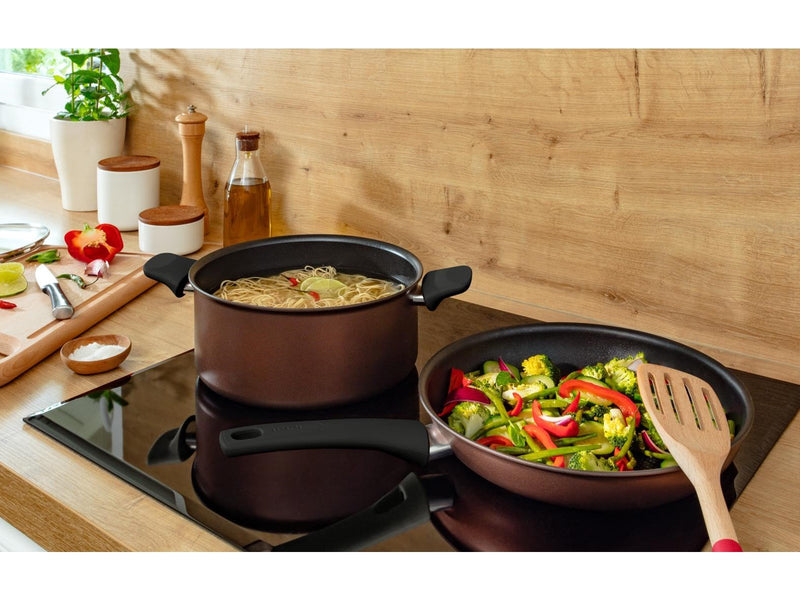 Tefal Resource Stewpot 24 cm/5.2 l. w. lid