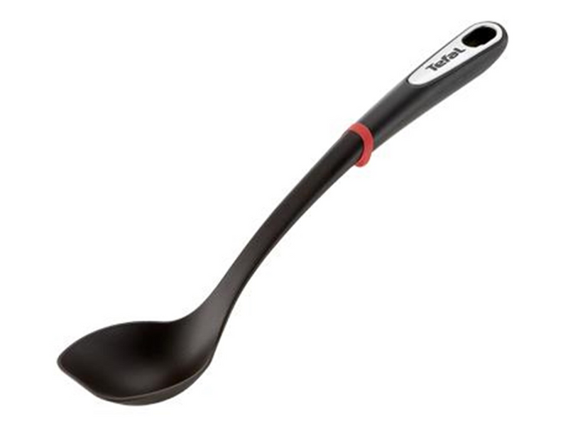 Tefal Ingenio Spoon