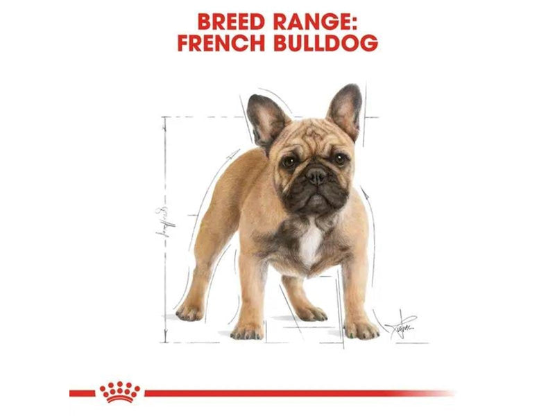 Royal Canin French Bulldog Adult 9kg