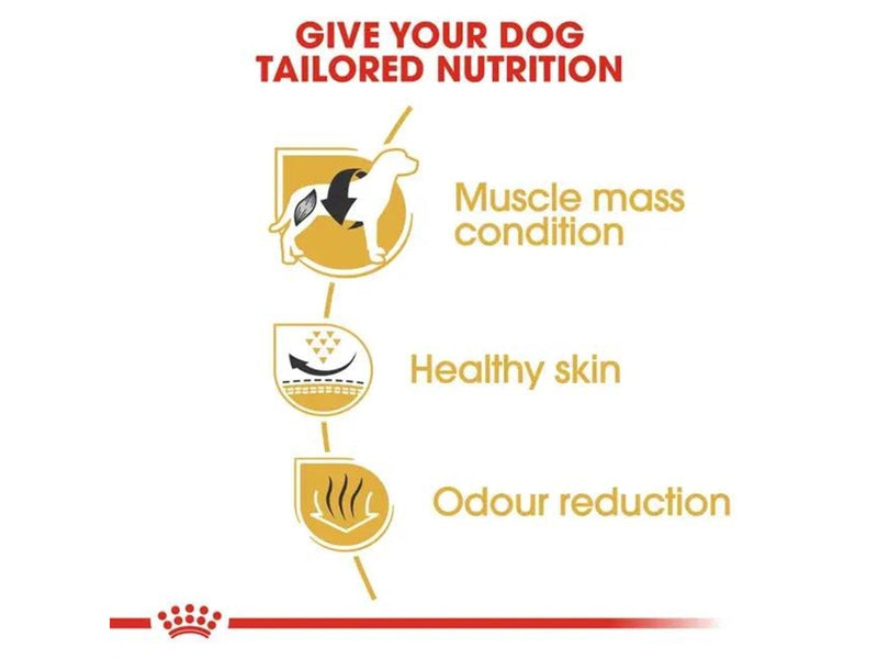 Royal Canin French Bulldog Adult 9kg