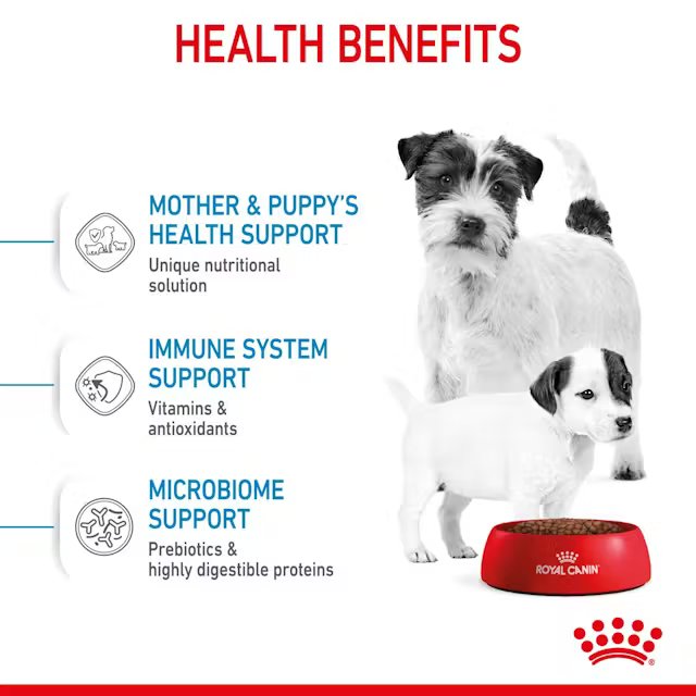 Royal Canin Mini Starter Mother & Babydog 1kg