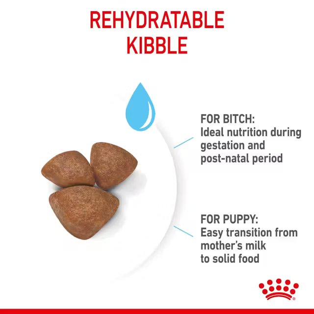 Royal Canin Mini Starter Mother & Babydog 1kg