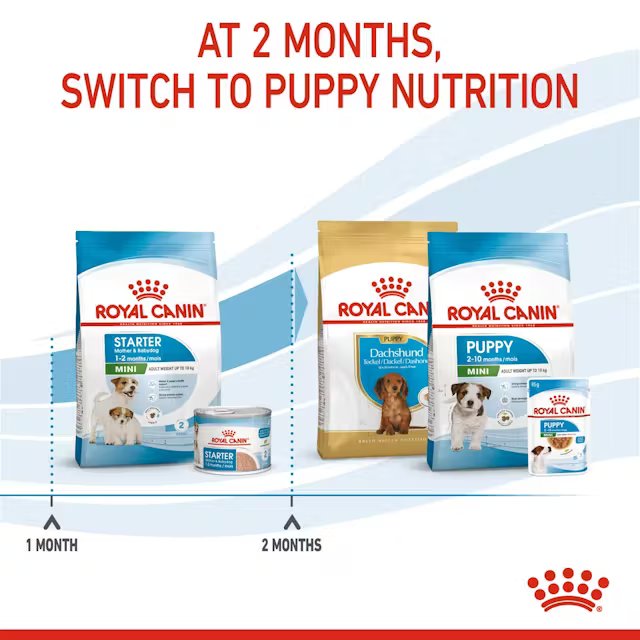 Royal Canin Mini Starter Mother & Babydog 1kg