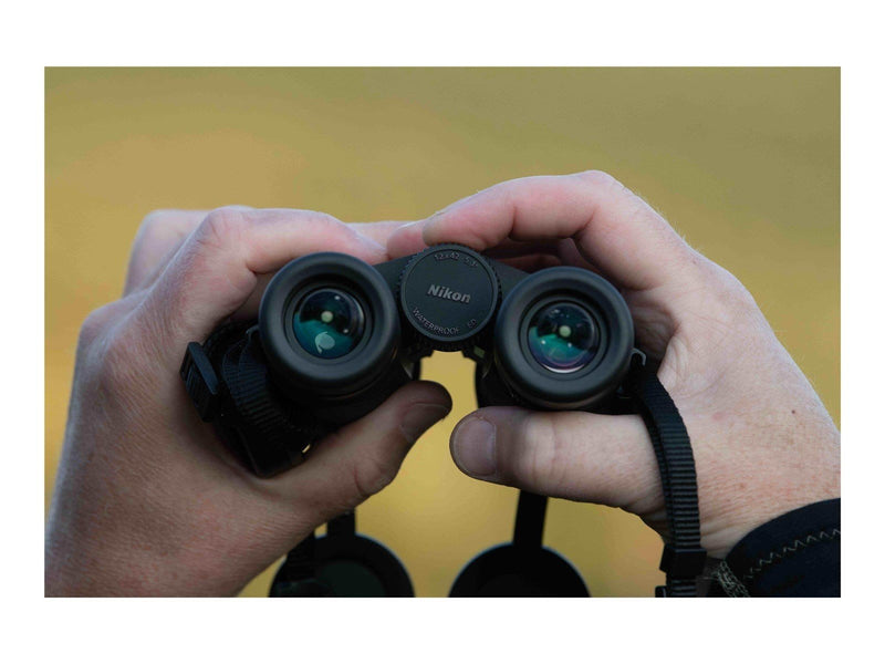 Nikon MONARCH M5 10x42