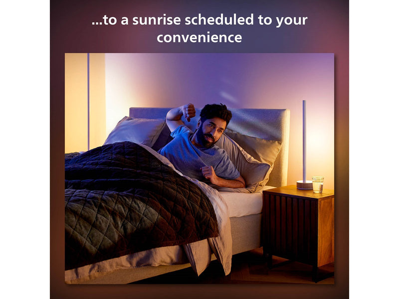 Philips Hue Gradient Signe Table - Oak