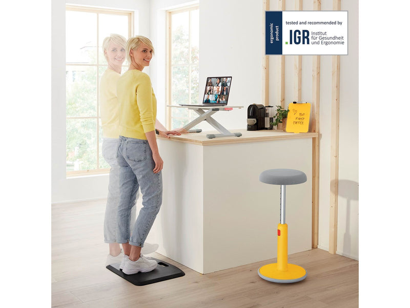 Leitz Ergo Cosy Höhenverstellbarer Sitz-/Steh-Schreibtischaufsatz