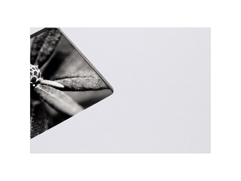 Hama "Fine Art" Spiral Album 36 x 32 cm 50 Black Pages chalk