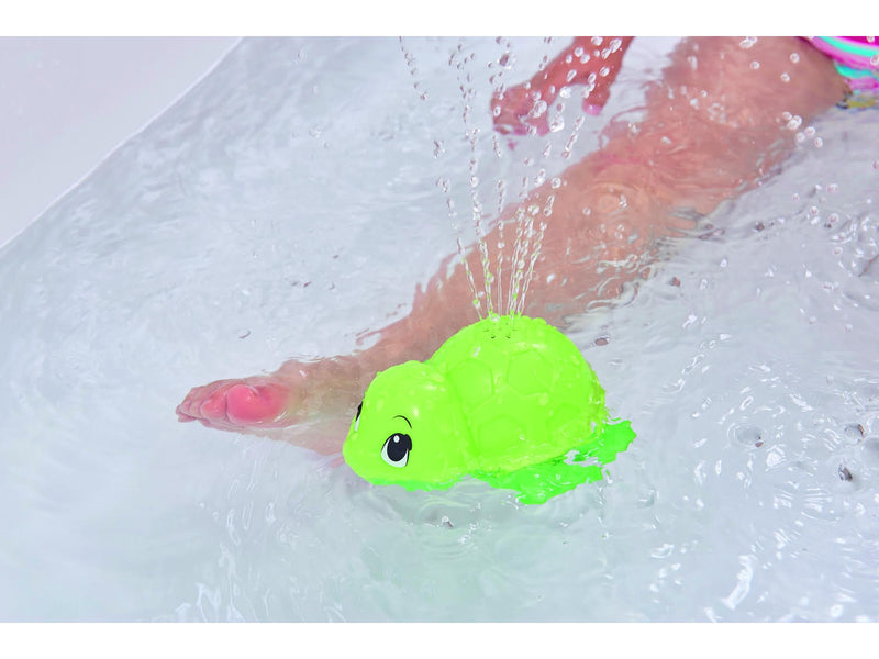 ABC  Bathing Turtle