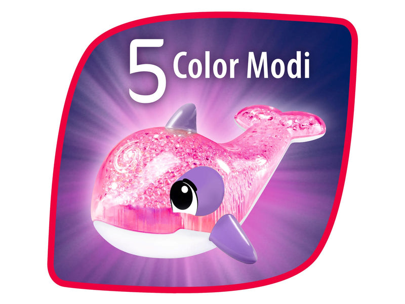 ABC  Sparkle Dolphin