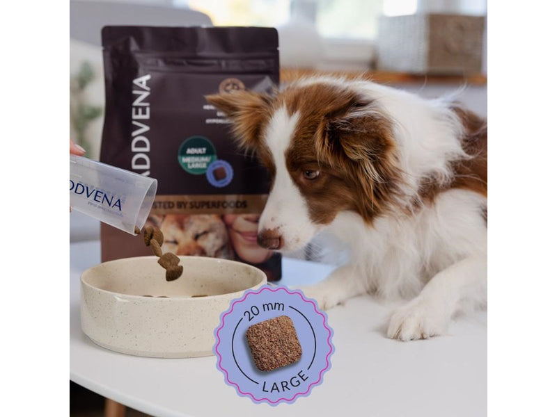 ADDVENA Boosted by superfoods Adult Medium/Large Beef - dry dog food - 2.5kg