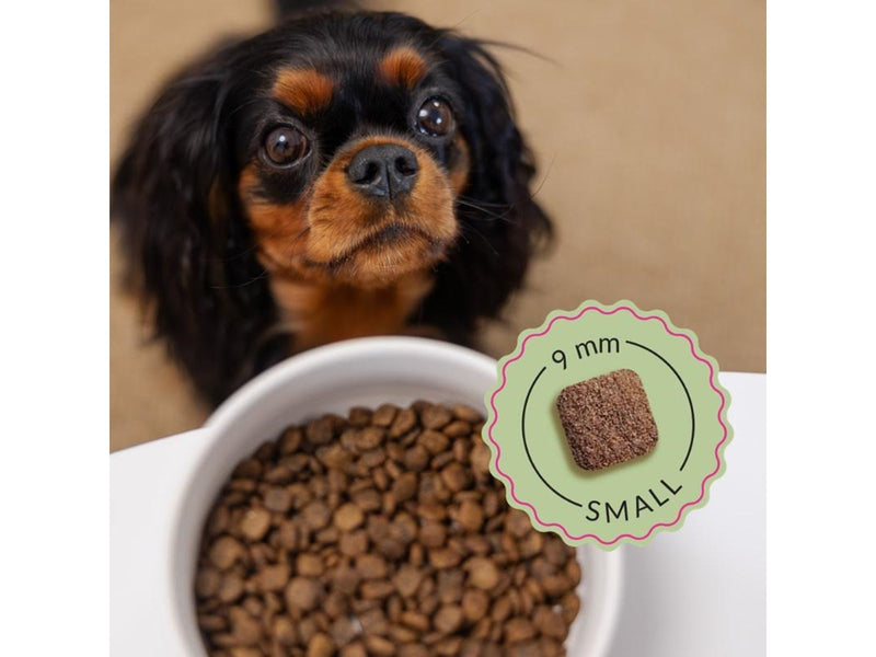 ADDVENA Boosted by superfoods Adult Small Beef - dry dog food - 2.5kg
