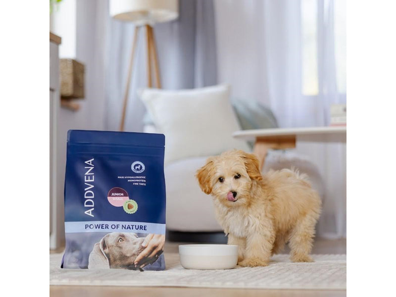 ADDVENA Power of Nature Junior Small Lamb - dry dog food - 10kg