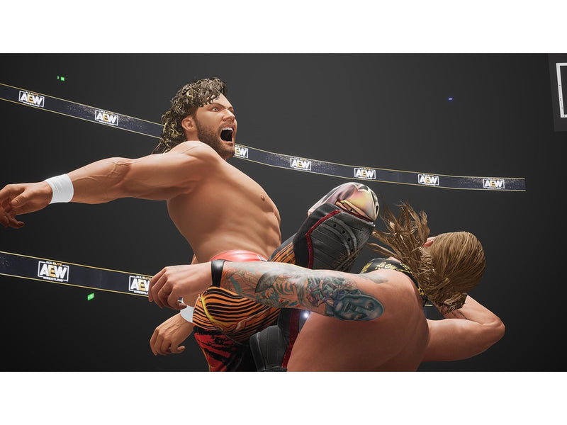 AEW: Fight Forever (Code in a Box) - Windows - Fighting - PEGI 16