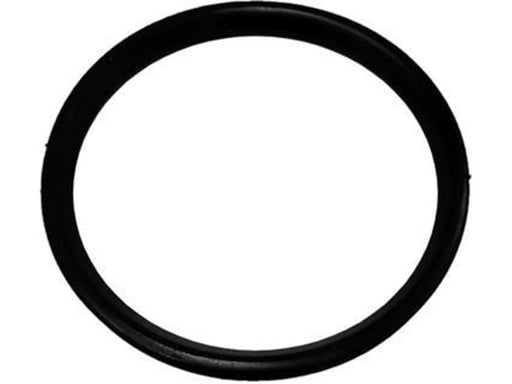 ALIAXIS Dblue sealing ring ø110
