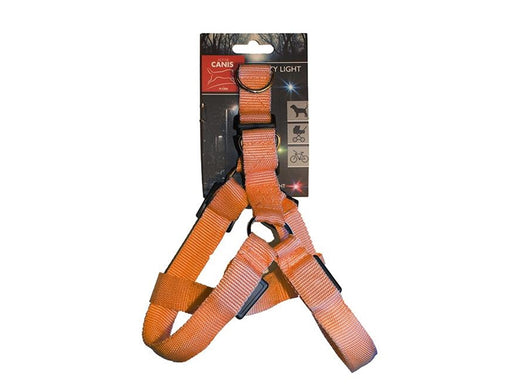 Active Canis Led light harness xl orange