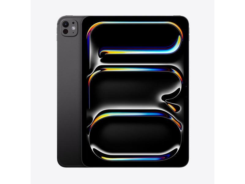 Apple iPad Pro 11" (2024) 2TB with Standard Glass - Space Black