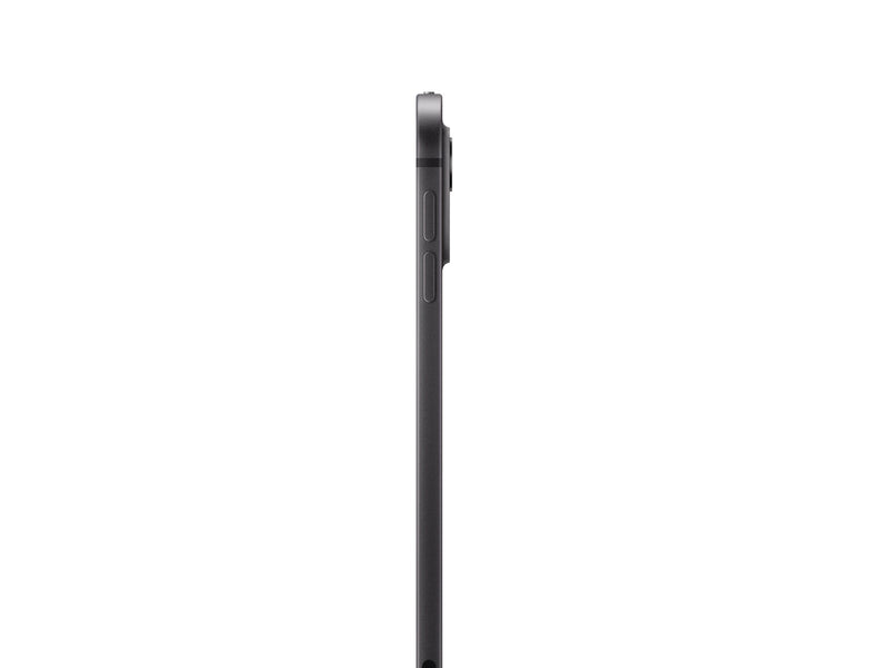 Apple iPad Pro 11" (2024) 2TB with Standard Glass - Space Black