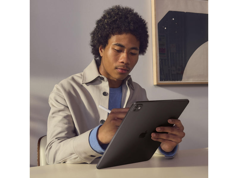 Apple iPad Pro 11" (2024) 2TB with Standard Glass - Space Black