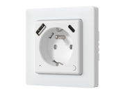 Avatto WOT20-FR Smart Outlet