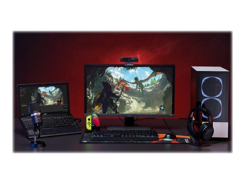 AverMedia PW315 - webcam