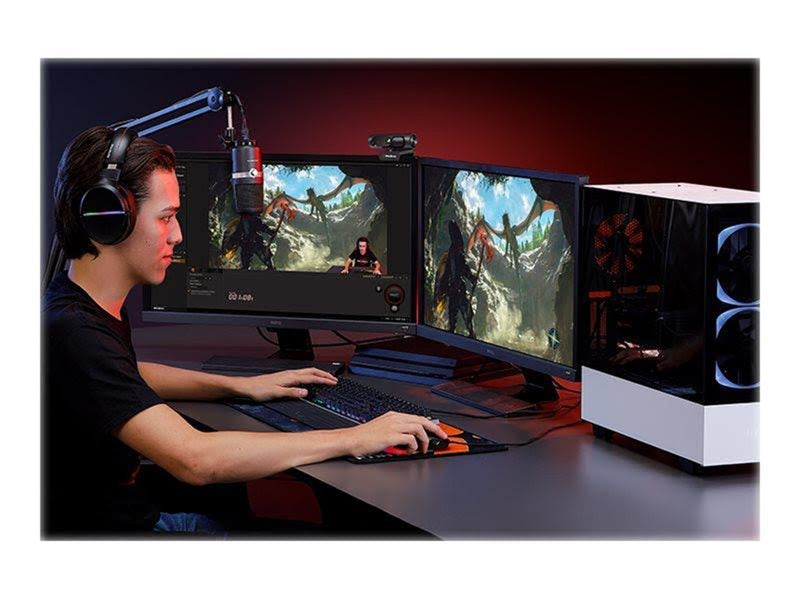 AverMedia PW315 - webcam